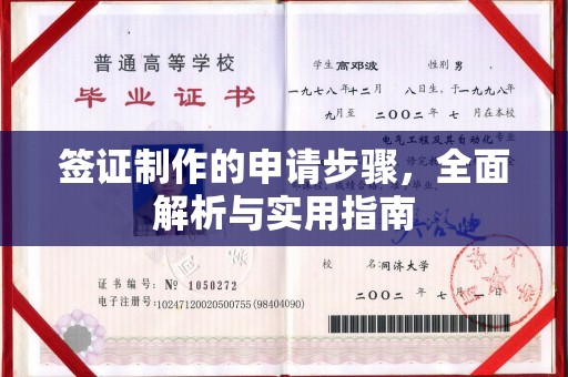 南化签证制作的申请步骤，全面解析与实用指南