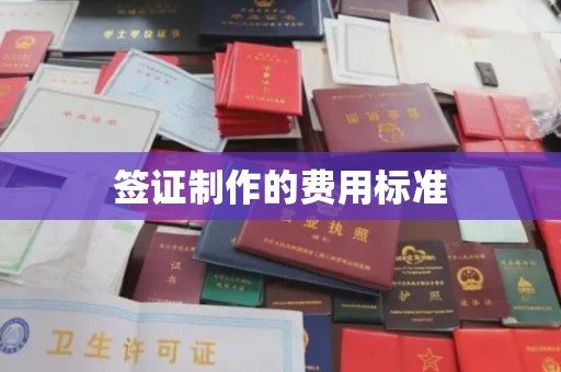 南化签证制作的费用标准